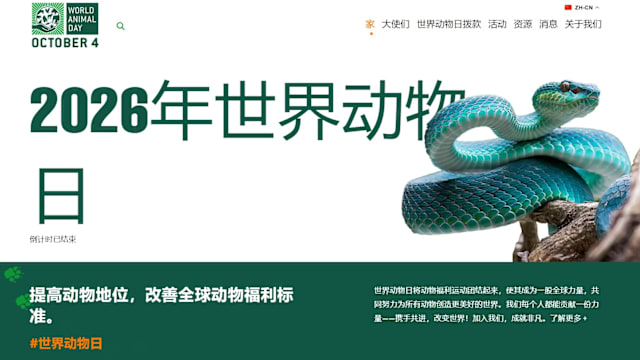 10月4日世界动物日 各界呼吁关爱动物福利