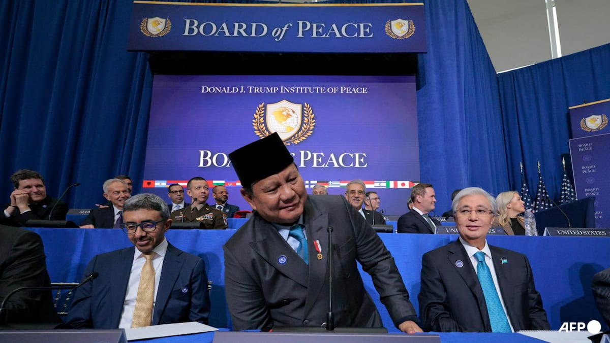 Indonesia to take deputy commander role in Gaza peacekeeping force: US general