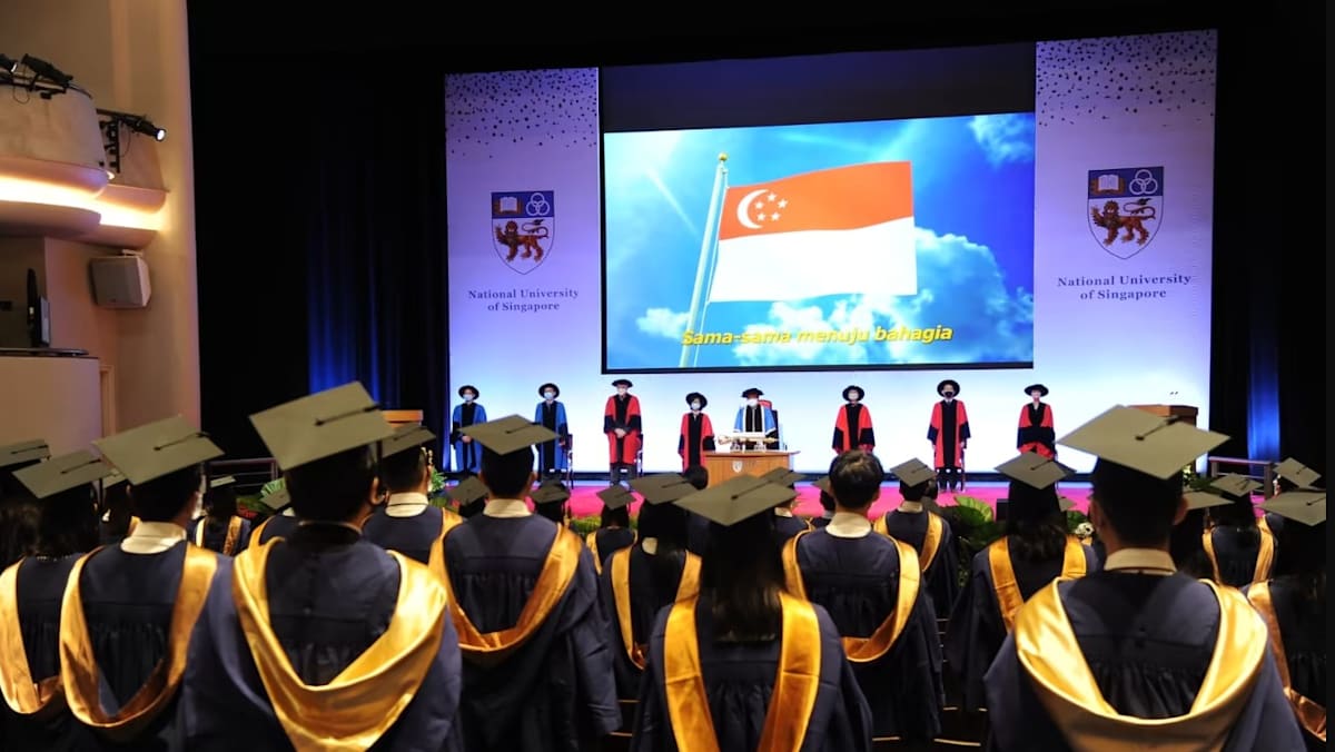 Amazing Fewer Fresh Graduates Found Work Within 6 Months In 2025; Median Salary Held Steady At S$4,500: Survey Artwork Photography