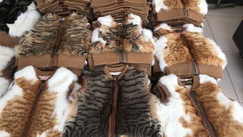 Gambar tular di Facebook dakwa kucing dianiaya, dibunuh untuk dijadikan pakaian di China