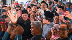 Related article image