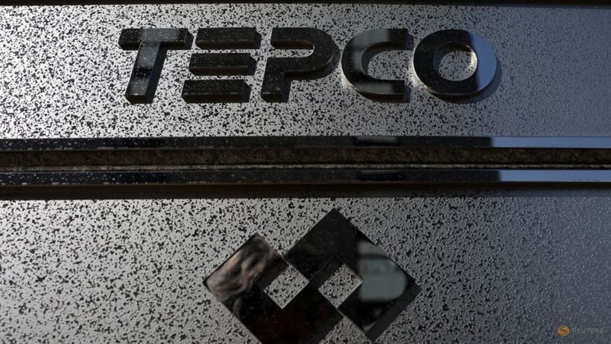 Japan's TEPCO posts 454.3 billion yen loss in year ended March