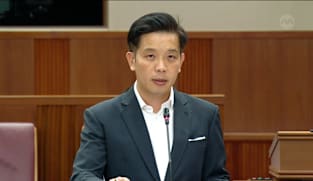Alvin Tan on motions for grants to support IMF trusts