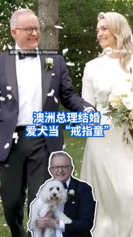 阿尔巴尼斯与女友完婚 成澳洲首位在任内结婚总理