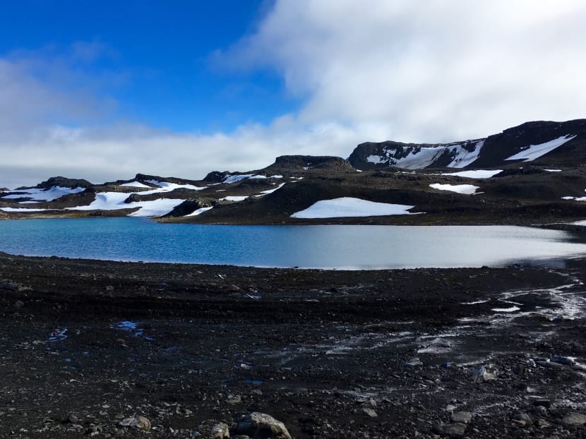A freshwater lake is formed by the melting of ice on King George Island, Antarctica on Feb 1, 2018.