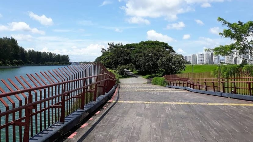Area along Punggol Promenade Nature Walk cordoned off after cyclist injured in wild boar incident