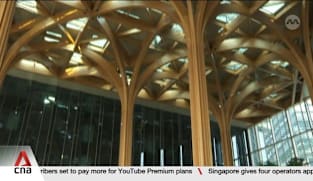 Design and engineering safety award: 3 building projects lauded, including tallest timber canopy