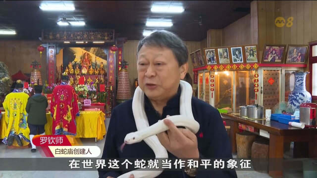 台湾寺庙迎新春 信众与灵蛇共祈平安吉祥