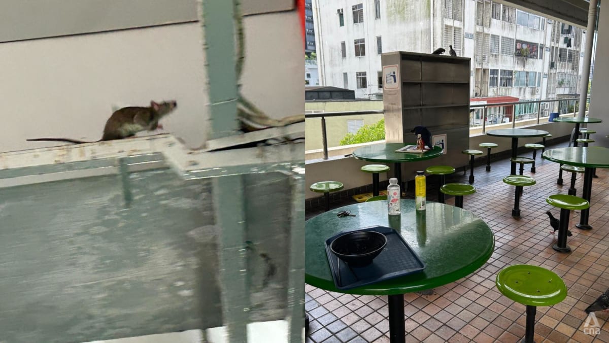 Rats at Beauty World food centre: Customers complain of dirty conditions, hawkers defend pest control efforts