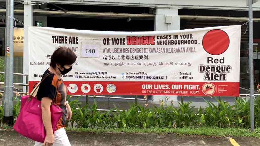 Hospitals prepared for spike in dengue cases amid concerns about rising numbers