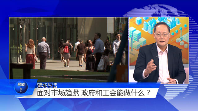 狮城有约 | 毕业生就业难 是期待过高？
