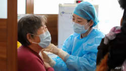 Related article image