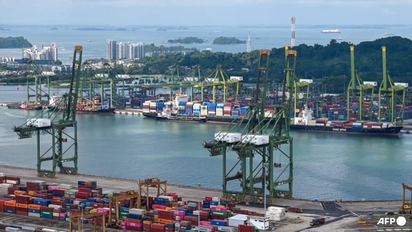 Trump's tariffs and their ripple effect on Singapore's economy Trump's tariffs and their ripple effect on Singapore's economy