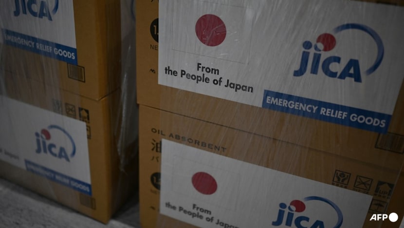 Japan scraps Africa exchange programme over false immigration fears 