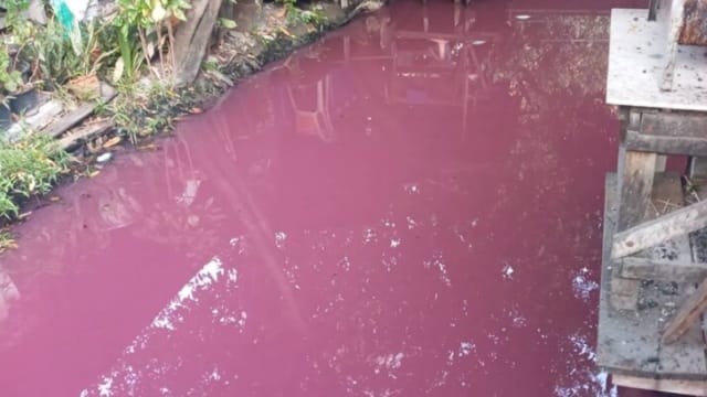 泰国一条河变浪漫粉红色 原来是粉红色微生物作祟