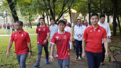 Related article image