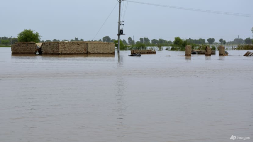 UNICEF says a year on from Pakistan's catastrophic floods, millions of children still need support UNICEF says a year on from Pakistan's catastrophic floods, millions of children still need support