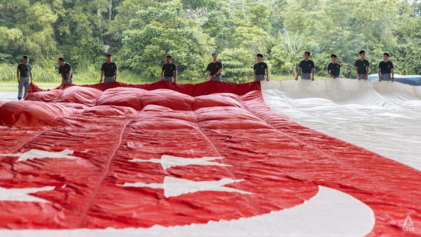NDP 2026: Behind the scenes of the state flag flypast preparations