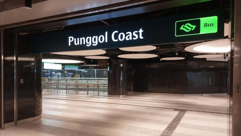 New Punggol Coast bus interchange to open on Jun 29 New Punggol Coast bus interchange to open on Jun 29