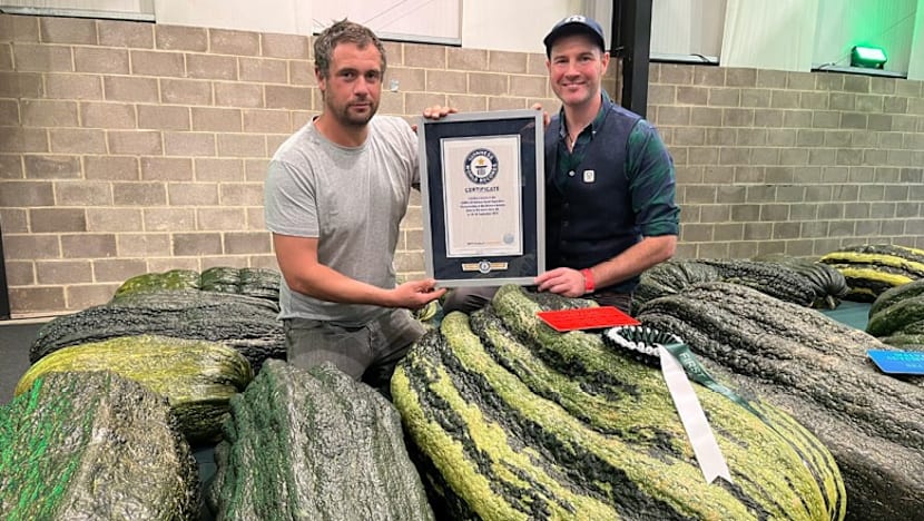 இவ்வாண்டின் ராட்சதக் காய்கறிகள்....