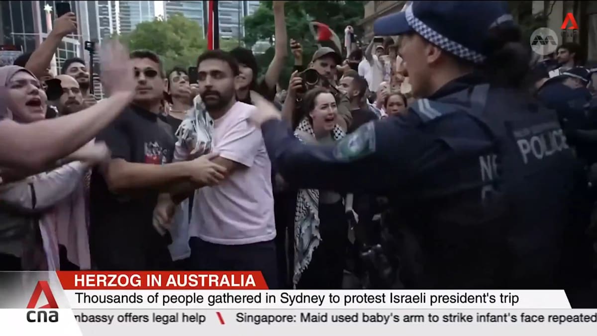 Thousands protest in Sydney after police used pepper spray during rally against Herzog visit