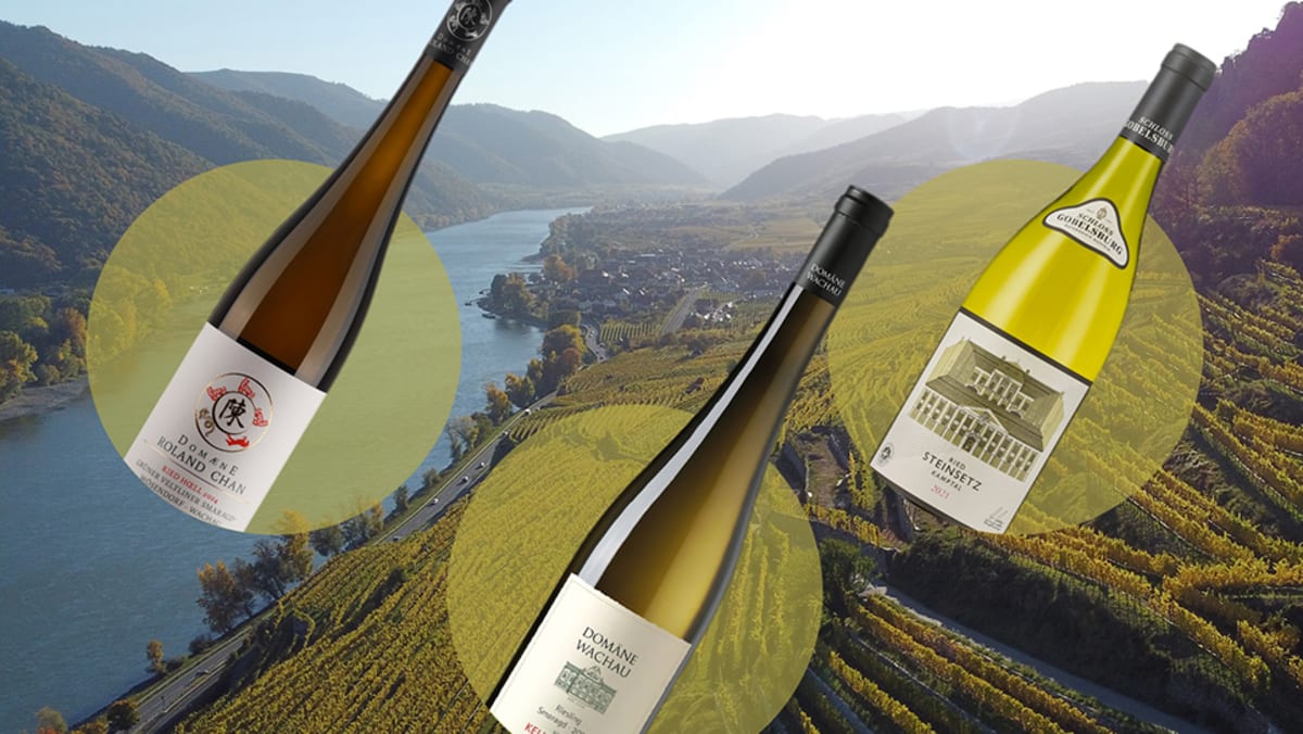 Beyond Chardonnay and Sauvignon Blanc: Discover Austrias Gruner Veltliner