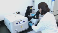 Related article image