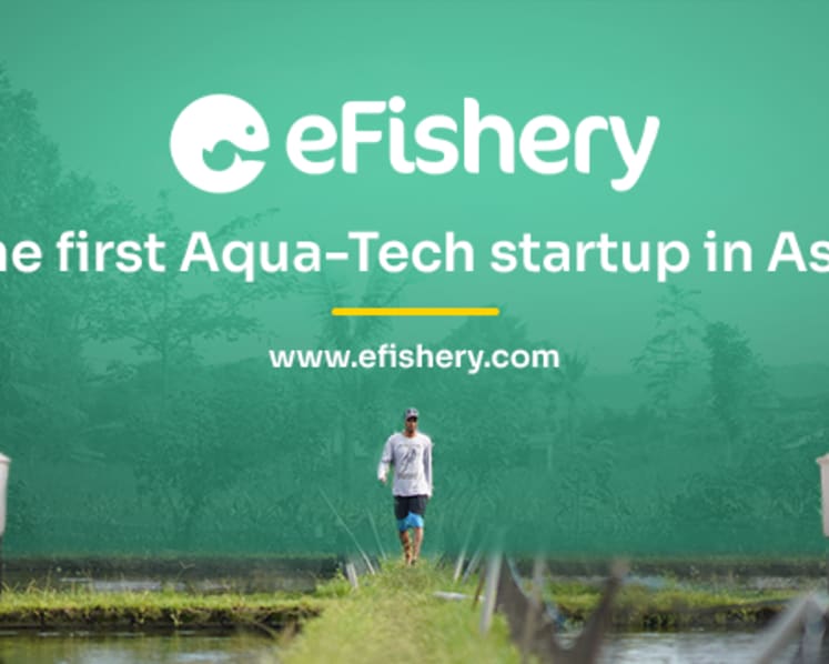Indonesia arrests eFishery start-up founder over alleged fraud
