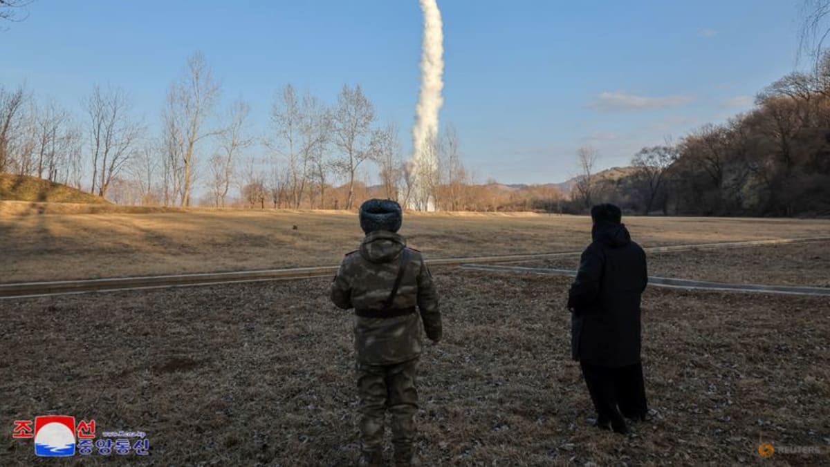 North Korea fires strategic cruise missiles, vows tough stance on US North Korea fires strategic cruise missiles, vows tough stance on US