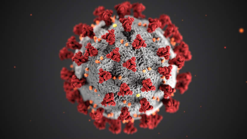 Explainer: The D614G strain of the coronavirus is purportedly more infectious. Should Singaporeans be afraid?