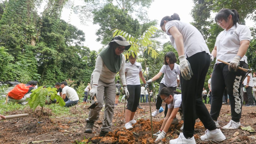 Nature parks and reserves to receive boost against climate change
