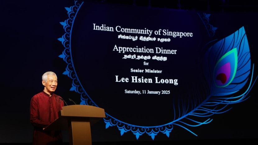 Singapore should help immigrants, foreign workers adapt to country's social norms: SM Lee Singapore should help immigrants, foreign workers adapt to country's social norms: SM Lee