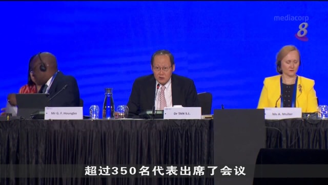 国际劳工组织采纳我国声明 吁创造更多包容性就业机会