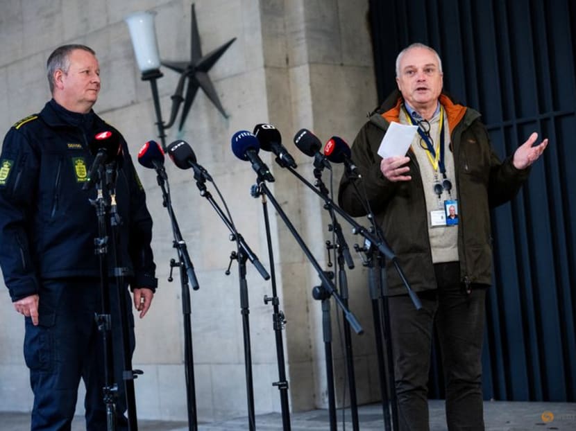 Seven arrested in Germany, Denmark, the Netherlands over suspected terrorism plots