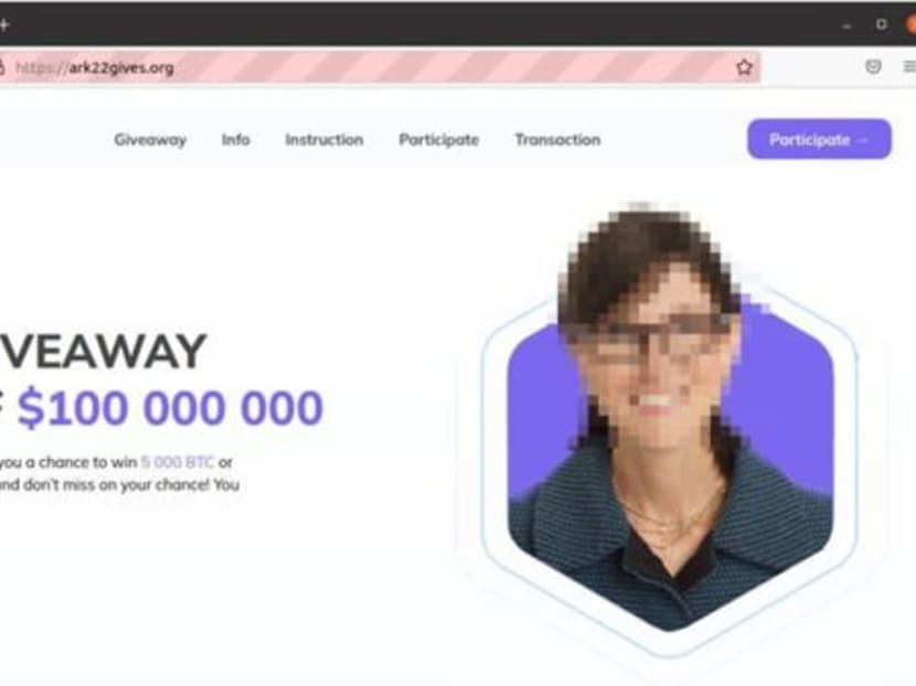 An example of a fake investment website set up by scammers.