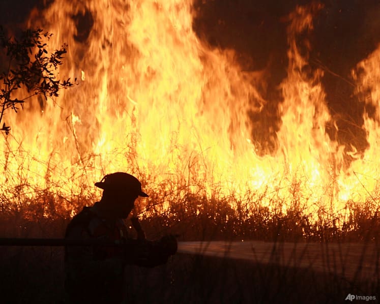 Indonesian police arrest 44 people suspected of starting forest fires