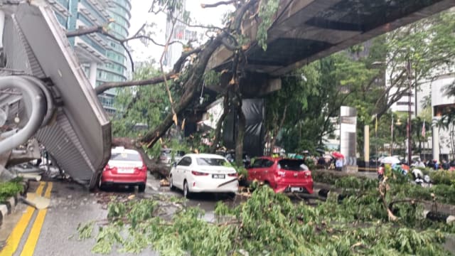 吉隆坡市区路旁大树倒下 压毁至少17辆轿车酿一死