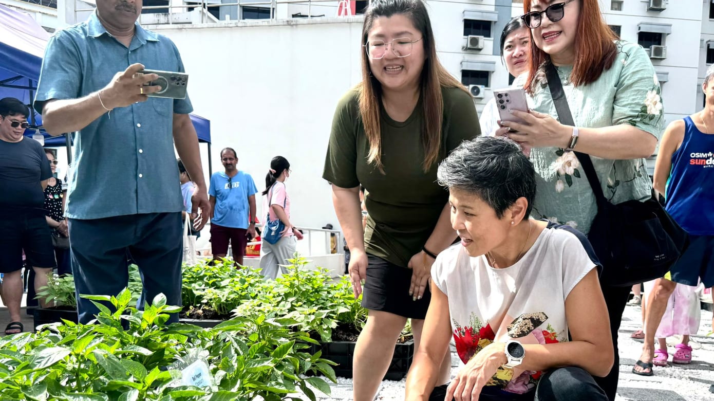 三巴旺西区首个屋顶花园正式启用。（图：三巴旺西区选区办公室）