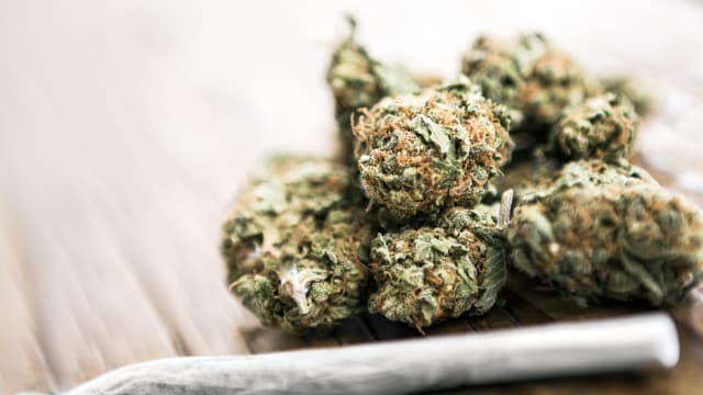 13名外国人泰国走私大麻被捕 12人原本飞新加坡