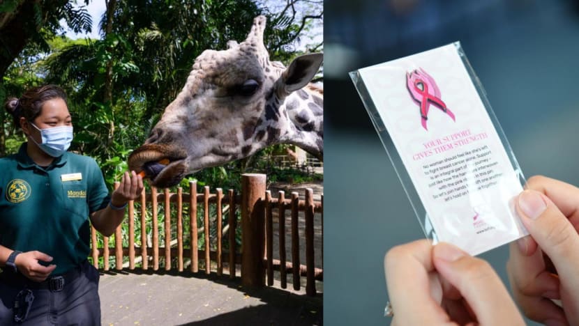 Spread the cheer: 7 places to volunteer at this festive season