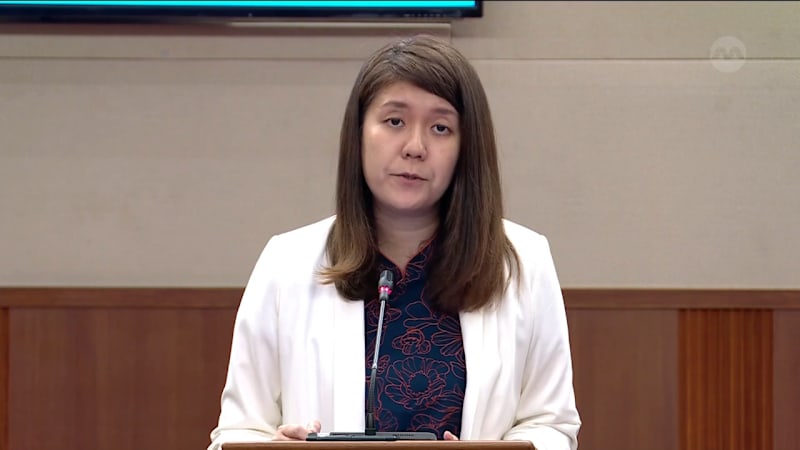 Lee Hui Ying on Coastal Protection and Other Amendments Bill