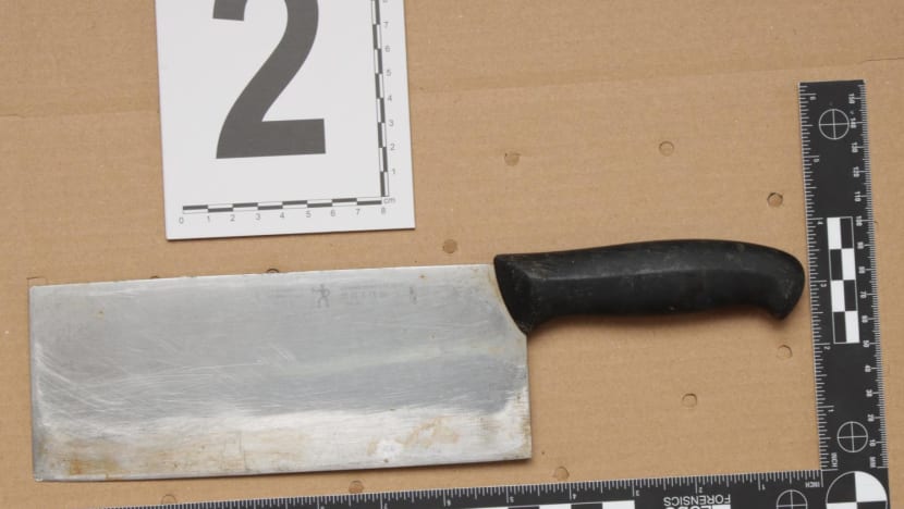 64-year-old man arrested in Bukit Merah for alleged assault; choppers seized by police 64-year-old man arrested in Bukit Merah for alleged assault; choppers seized by police