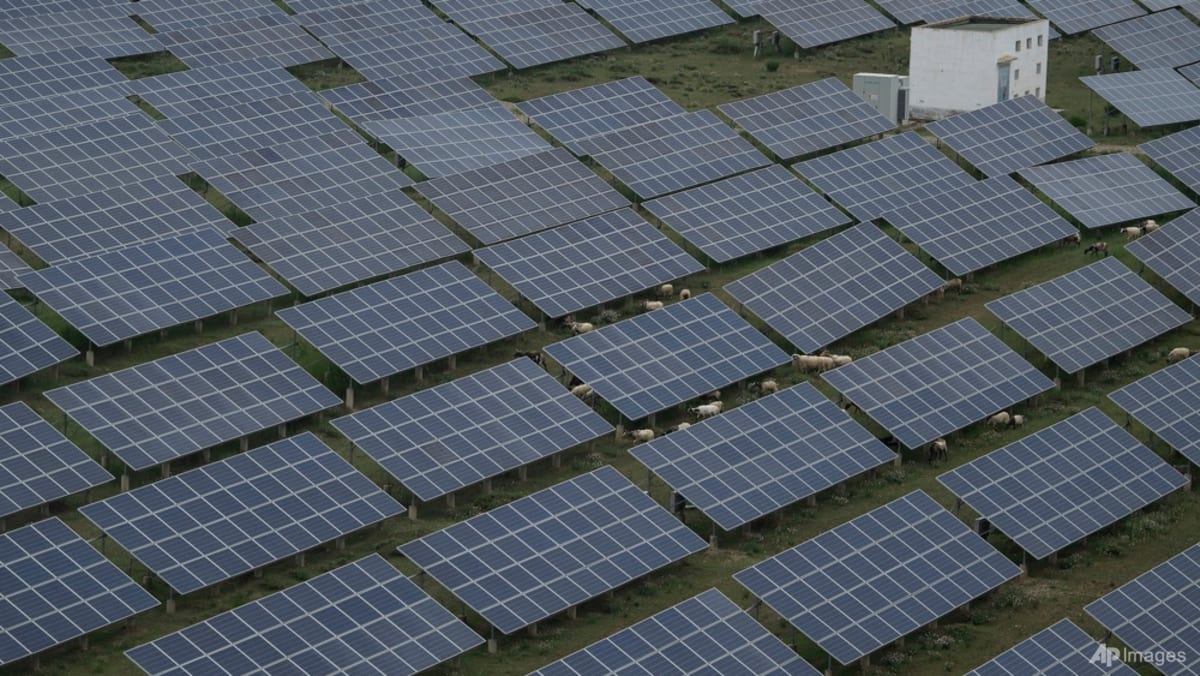 Renewables hit record in 2025, but world must move faster: report