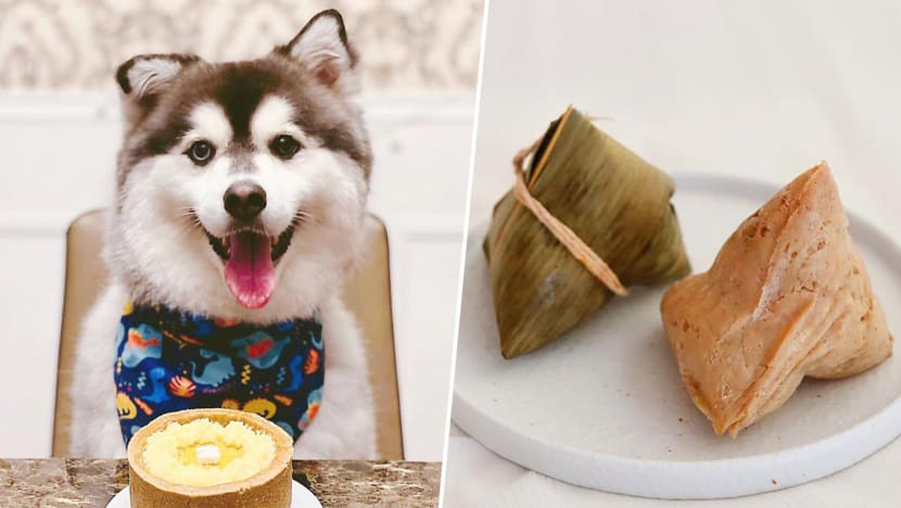 Home-Based Seller Offers Punny ‘Bark Zhang’ For Dogs & Pet-Friendly Mao Shan Wang Cake Home-Based Seller Offers Punny ‘Bark Zhang’ For Dogs & Pet-Friendly Mao Shan Wang Cake