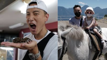 sunny-wang-tarantula-fear