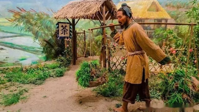 汉朝人平均享年22岁、唐朝人平均可活27年……为何古人多“短命”？