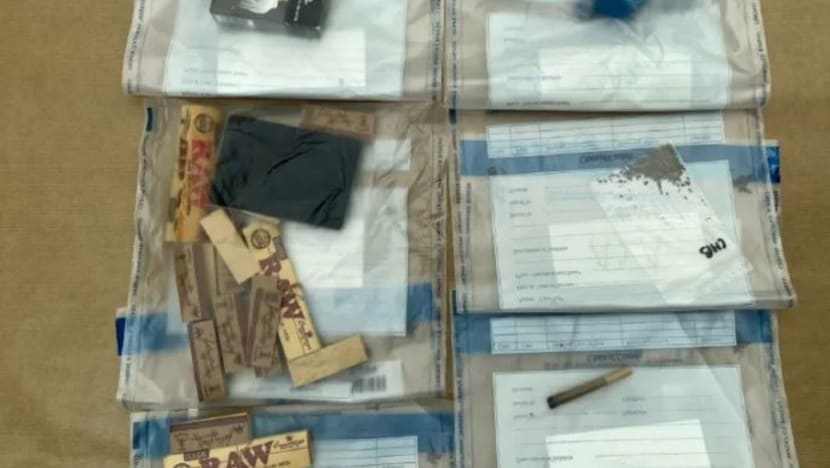 Pesalah miliki jumlah besar dadah terkawal boleh dipenjara sehingga 30 tahun mulai 1 Jun