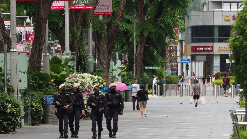 No imminent terrorist threat to Singapore but Isis, emerging far-right extremism are concerns: ISD