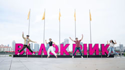 Related article image