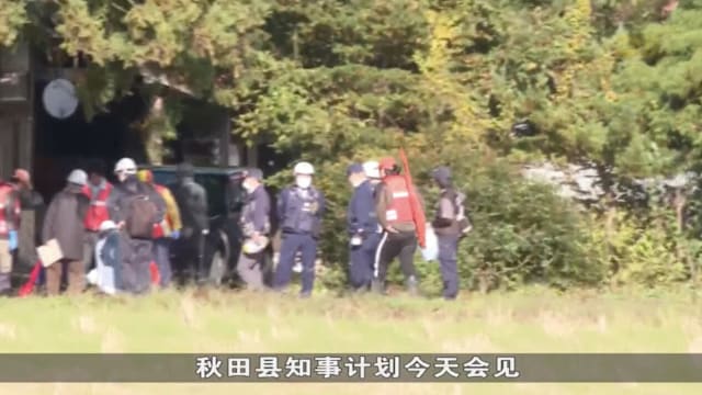 日本熊袭击死亡人数创新高 秋田县要求自卫队协助猎熊